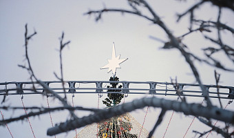 Тульский «лор»: если старожил города, то ответишь на все вопросы