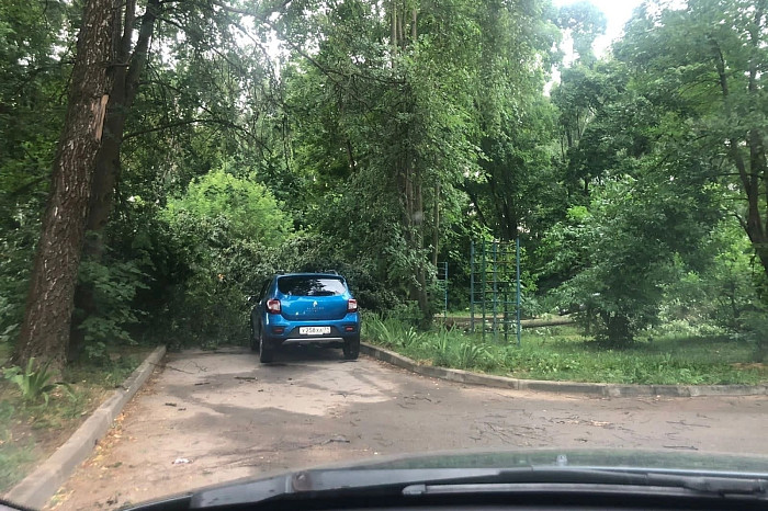 Ураган в Алексине снес крышу здания и сломал многолетнее дерево