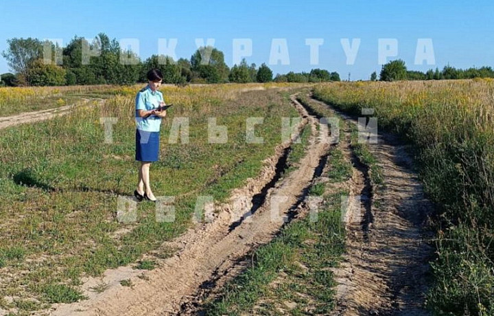 В Алексинском районе суд обязал администрацию отремонтировать дорогу