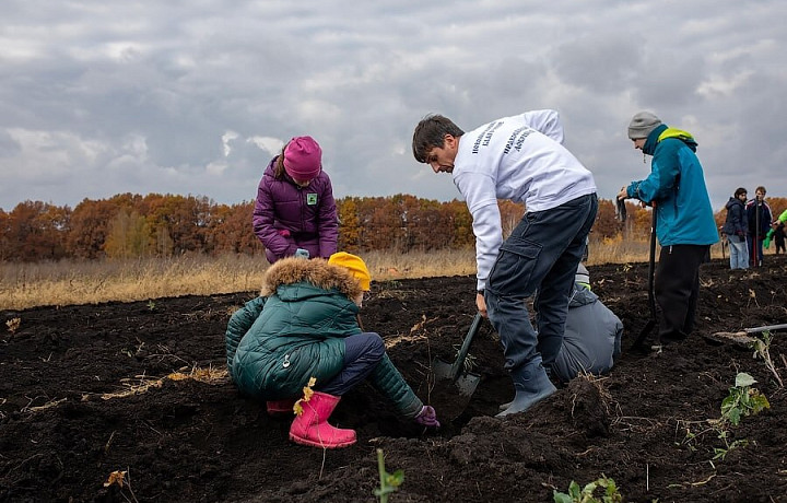 В Тульской области прошла экологическая акция памяти «Зеленая Дубрава»