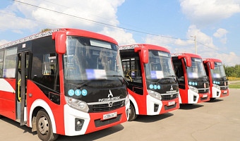Тула получит ещё 20 новых автобусов до конца года