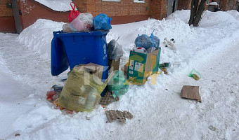 Жители пожаловались, что по всей Туле наблюдаются проблемы с вывозом мусора