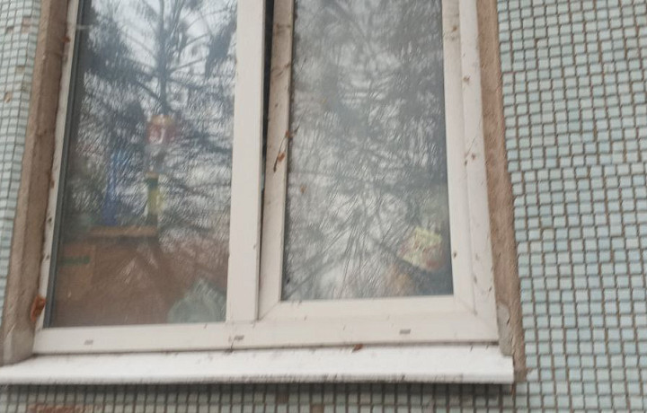 Сотрудник хламохранительных органов: жительница дома на улице Литейной в Туле собирает мусор на продажу и держит соседей в «рукавицах юстиции»