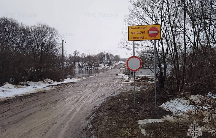 Из-за паводка в Белевском районе затопило мост через реку Оку