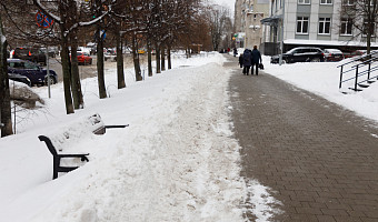 Тульская Госавтоинспекция предупредила об ухудшении погоды с 19 по 20 декабря