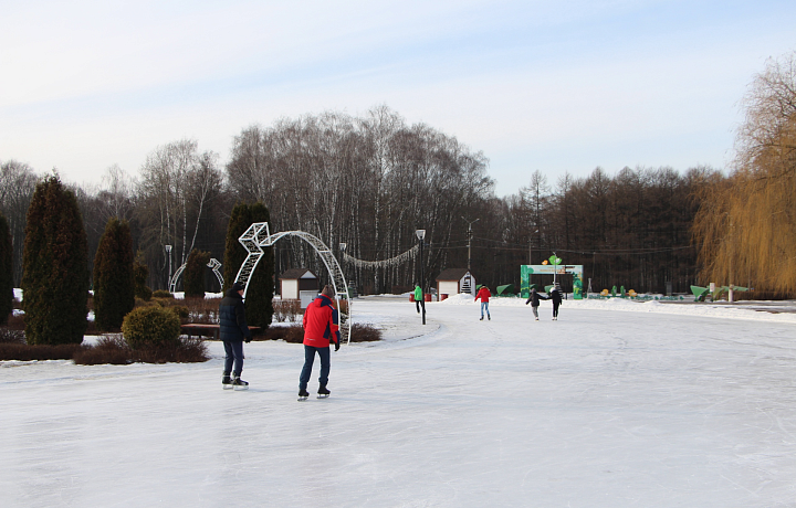 В Центральном парке Тулы восстановили ледовое покрытие катка