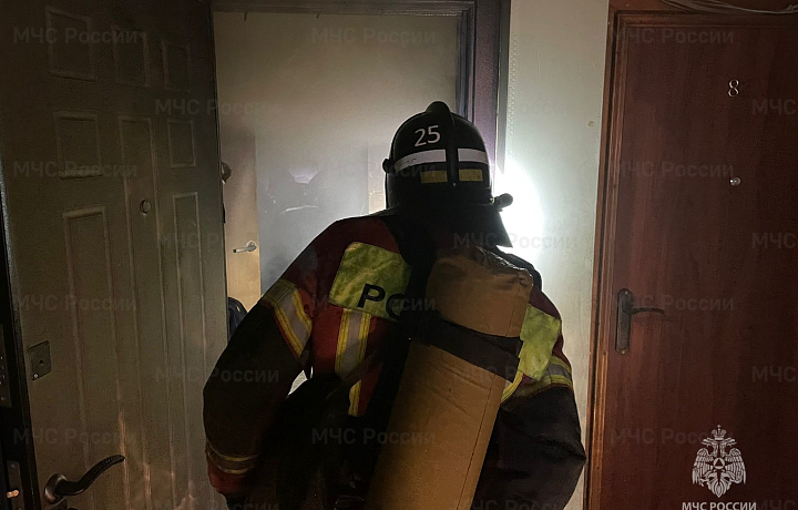 Из пожара в многоквартирном доме в Новомосковске на улице Орджоникидзе эвакуировали 11 человек