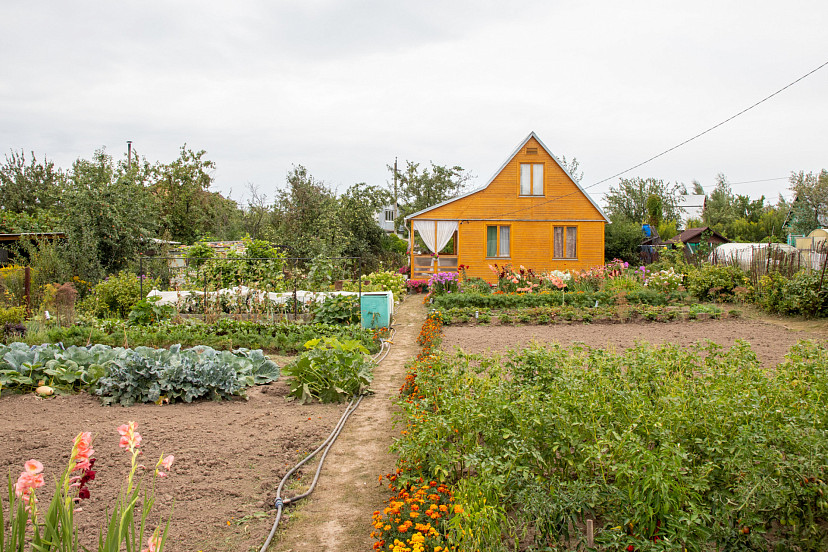 Дачникам напомнили, какой штраф грозит за нескошенную траву на участке | ТСН24