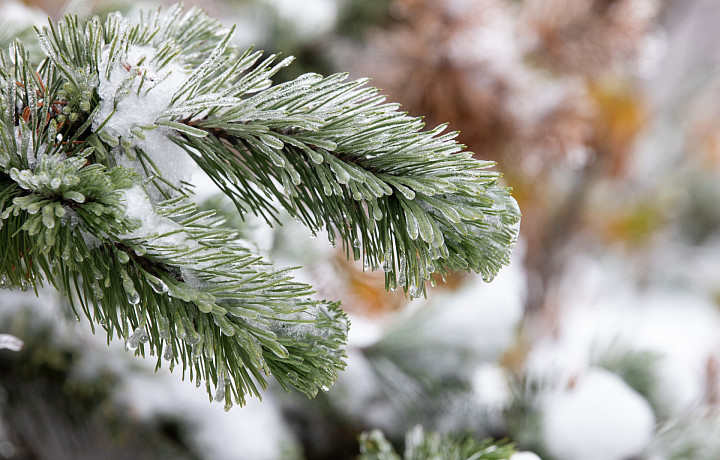 Синоптики спрогнозировали снежное начало календарной зимы в Тульской области
