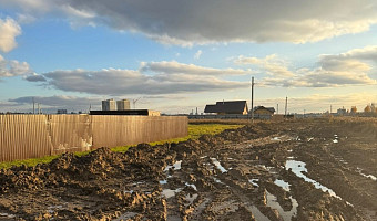 «Обращение в очередной раз отправили на хождение по кругу чиновников»: жители Северного Заречья ждут дорогу с 2012 года