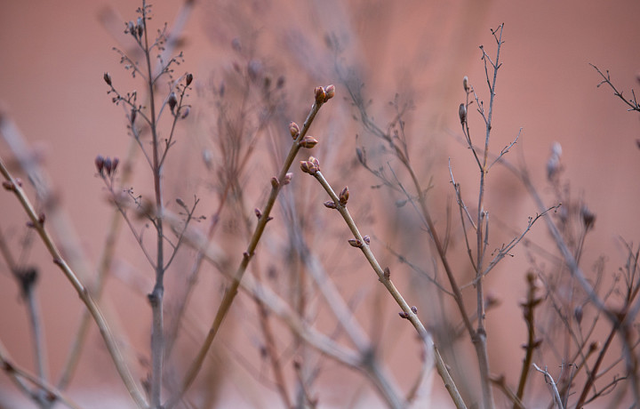 Малооблачно и прохладно: какая погода будет в Тульской области 2 мая
