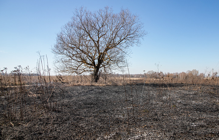 В Подмосковье усилят мониторинг пожаров