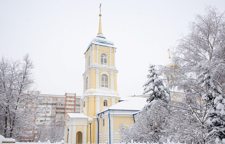 В Туле и области ожидаются 25-градусные морозы в субботу, 17 января