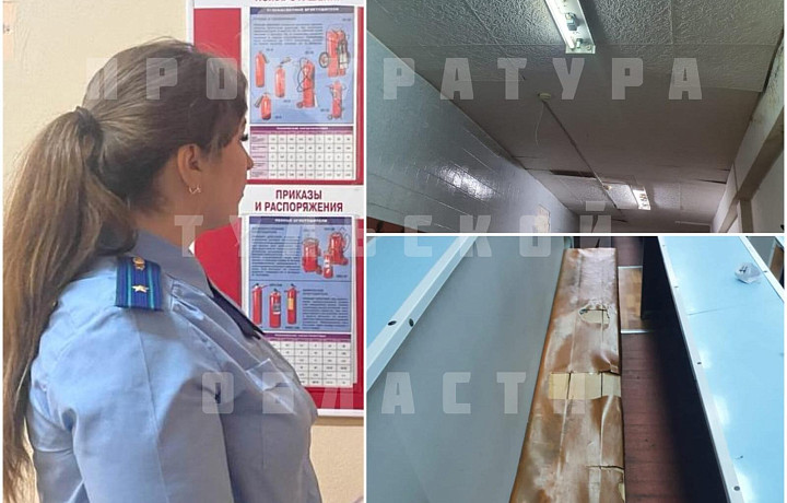 Прокуратура нашла нарушения при проверке ТГПУ имени Льва Толстого