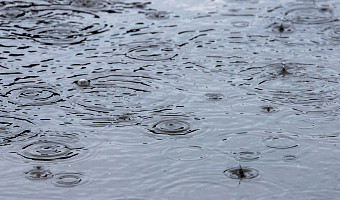 Синоптики спрогнозировали пасмурную погоду и ливни в Тульской области 14 ноября