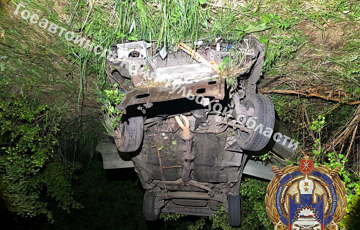 Водитель авто погиб в результате ДТП с лосем в Тульской области