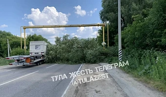 Упавшее дерево перекрыло часть дороги на улице Чмутова в Туле