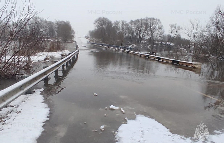 Два моста подтопило в Суворовском районе Тульской области