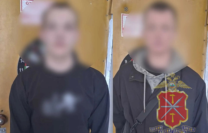 В Туле поймали двоих парней, укравших автомагнитолу из иномарки