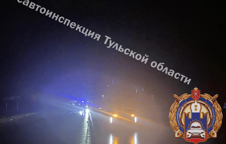 Двое детей и девушка-водитель пострадали в ДТП в Щекинском районе