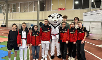 Туляки завоевали награды на всероссийских соревнованиях по тхэквондо