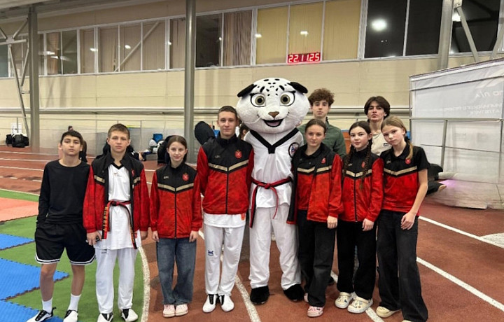 Туляки завоевали награды на всероссийских соревнованиях по тхэквондо