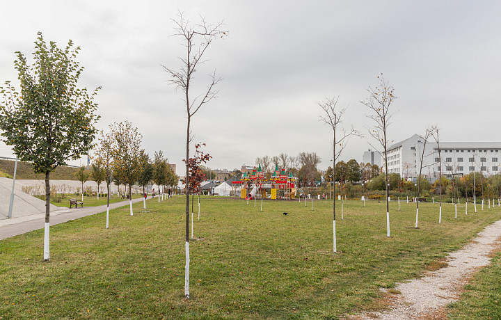 Туляков позвали на Всероссийский субботник 25 апреля