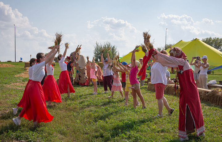 В Тульской области 16 августа пройдет эко-фестиваль «Сено-солома»