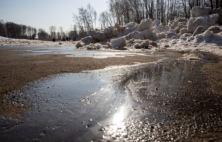 Сильный ветер и похолодание до +10 градусов обещают 14 апреля в Тульской области