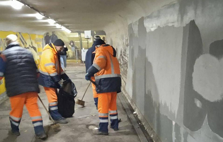 В Туле проверили состояние городских подземных пешеходных переходов