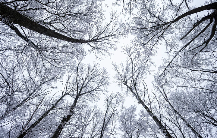 В Туле 18 ноября будет облачно и похолодает до -5 градусов