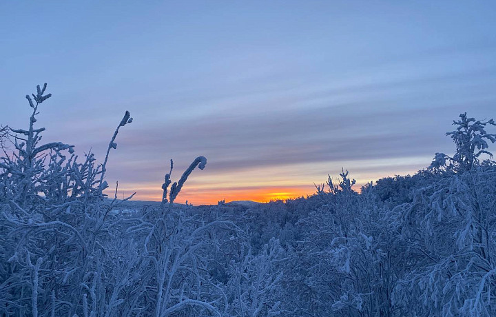 Испытание Севером: как туляки охотились за сиянием в -30 и нашли красоту на краю земли
