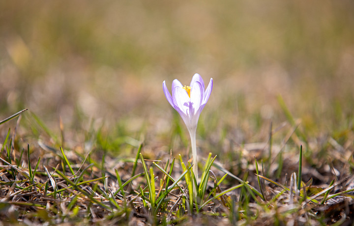 Эндокринолог рассказал, как адаптироваться к весне