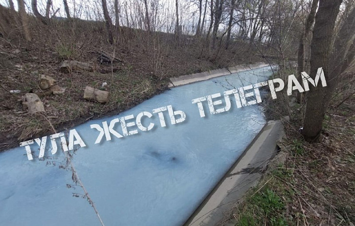 Река Рогожня в Туле окрасилась в молочный цвет