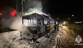 За сутки три человека погибли на пожарах в Тульской области