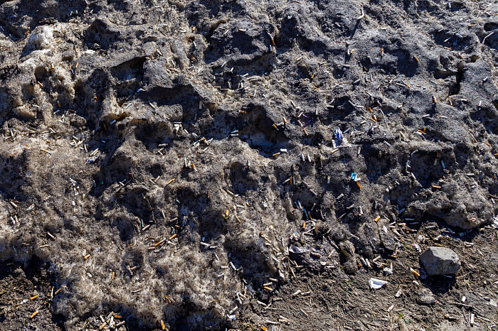 Идет – бычок валяется: фоторепортаж с улиц Тулы, от которого хочется прокашляться