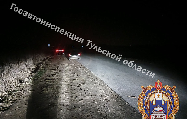 В Алексинском районе «Лада» сбила 78-летнего пешехода на дороге