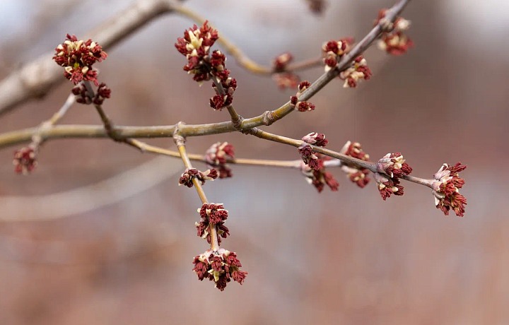 Госавтоинспекция: Погода ухудшится в Тульской области c 8 по 9 мая