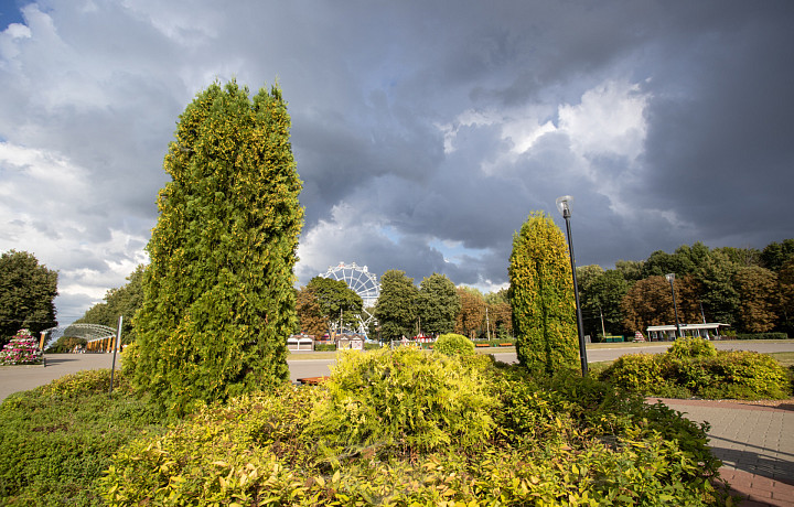 До +21 градуса тепла и почти без солнца: прогноз погоды в Тульской области на 30 мая