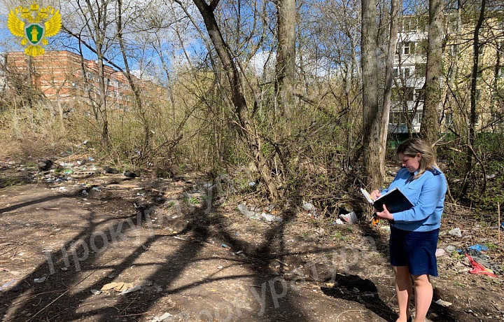 Прокуратура внесла главе администрации Донского представление из-за свалки в Новоугольном