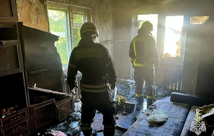 Спасатели потушили шесть пожаров в Тульской области за сутки