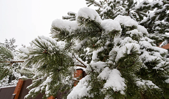 Снег и до -11 градусов: синоптик Ильин рассказал, какая погода ждет туляков в выходные