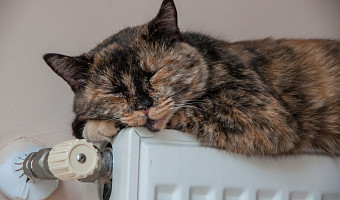 Туляки обращались на «телефон доверия губернатора» 5,5 тысяч раз в ноябре