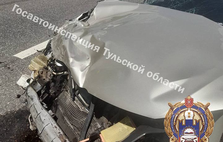 Двое взрослых и ребенок пострадали в ДТП на трассе М-2 в Тульской области