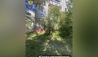 Прокуратура потребовала убрать свалку на улице Ползунова в Туле