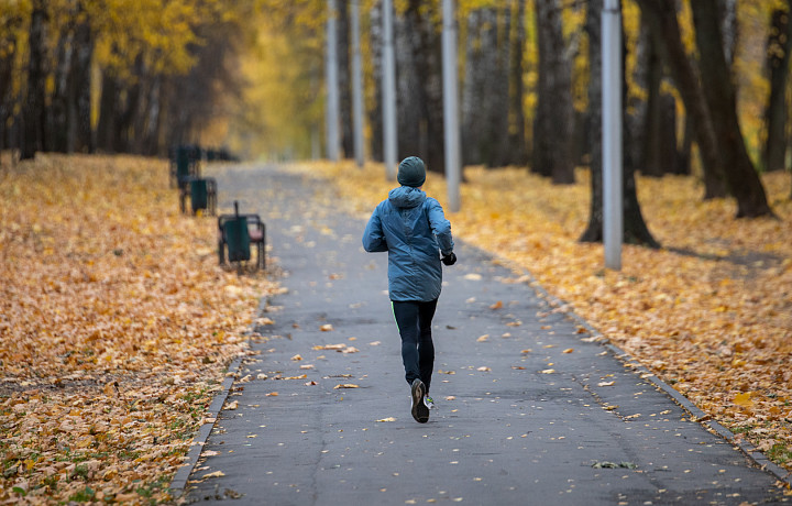 До зимы далеко: синоптики спрогнозировали аномально теплую и пасмурную погоду до конца ноябрьских праздников