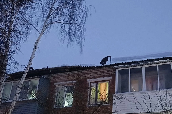 Опубликованы фото с места обрушения крыши двух домов в Кимовске