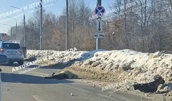 На водителя, насмерть сбившего пешехода в Туле, завели уголовное дело