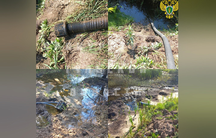 Туляки пожаловались на гибель рыбы в реке Еловая в деревне Большая Еловая