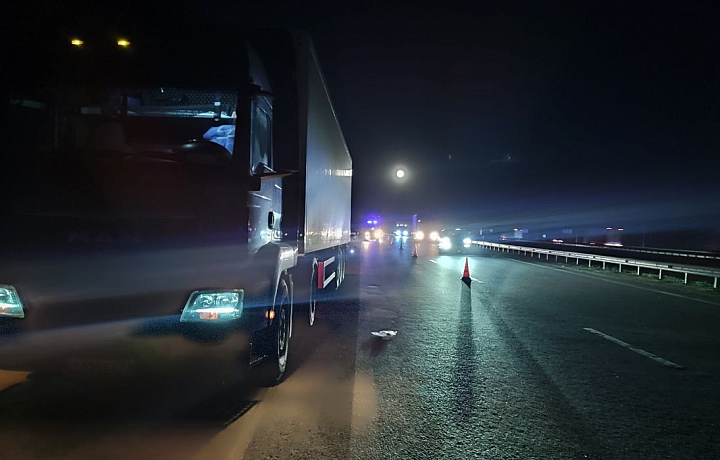 Пешеход погиб на месте ДТП на трассе М-4 в Ефремове